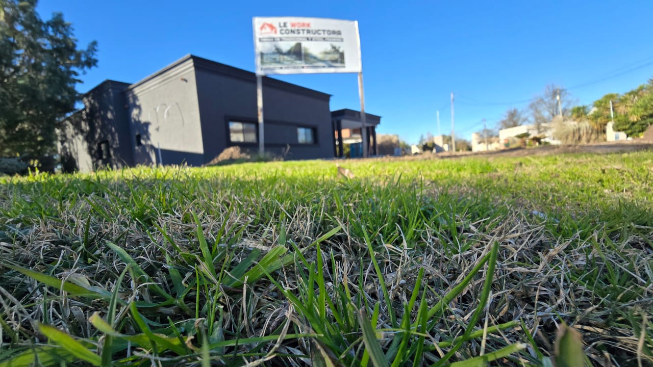 Calidad Oro - Imagen 3